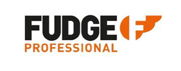 Fudge Professional